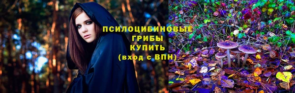 mdma Дмитриев