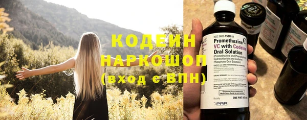 дживик Александровское
