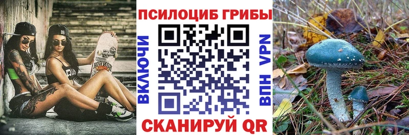 Галлюциногенные грибы MAGIC MUSHROOMS  цена наркотик  Избербаш 