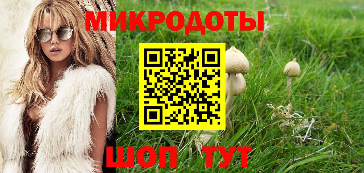 даркнет сайт  Избербаш  Галлюциногенные грибы MAGIC MUSHROOMS 