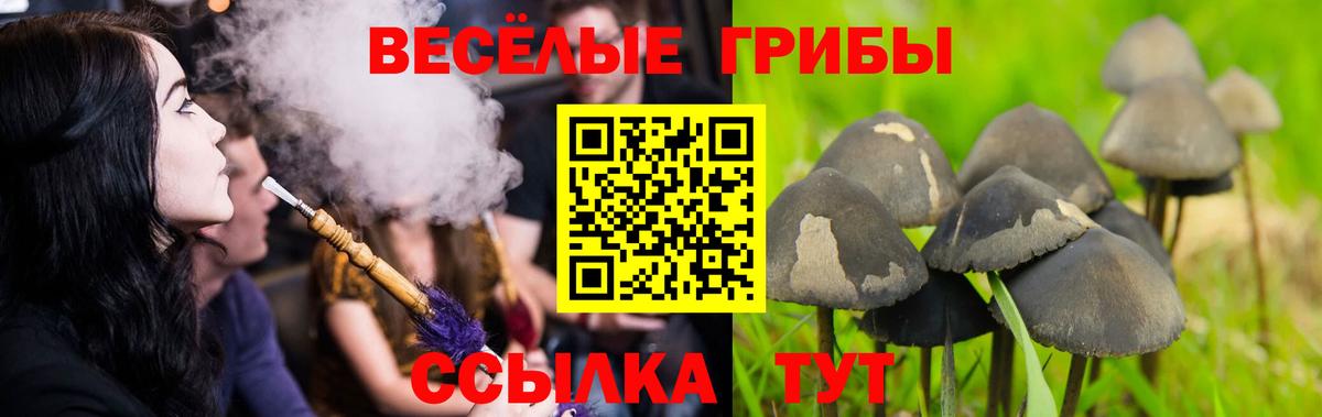 Псилоцибиновые грибы ЛСД  Вход с VPN  цена   Избербаш 